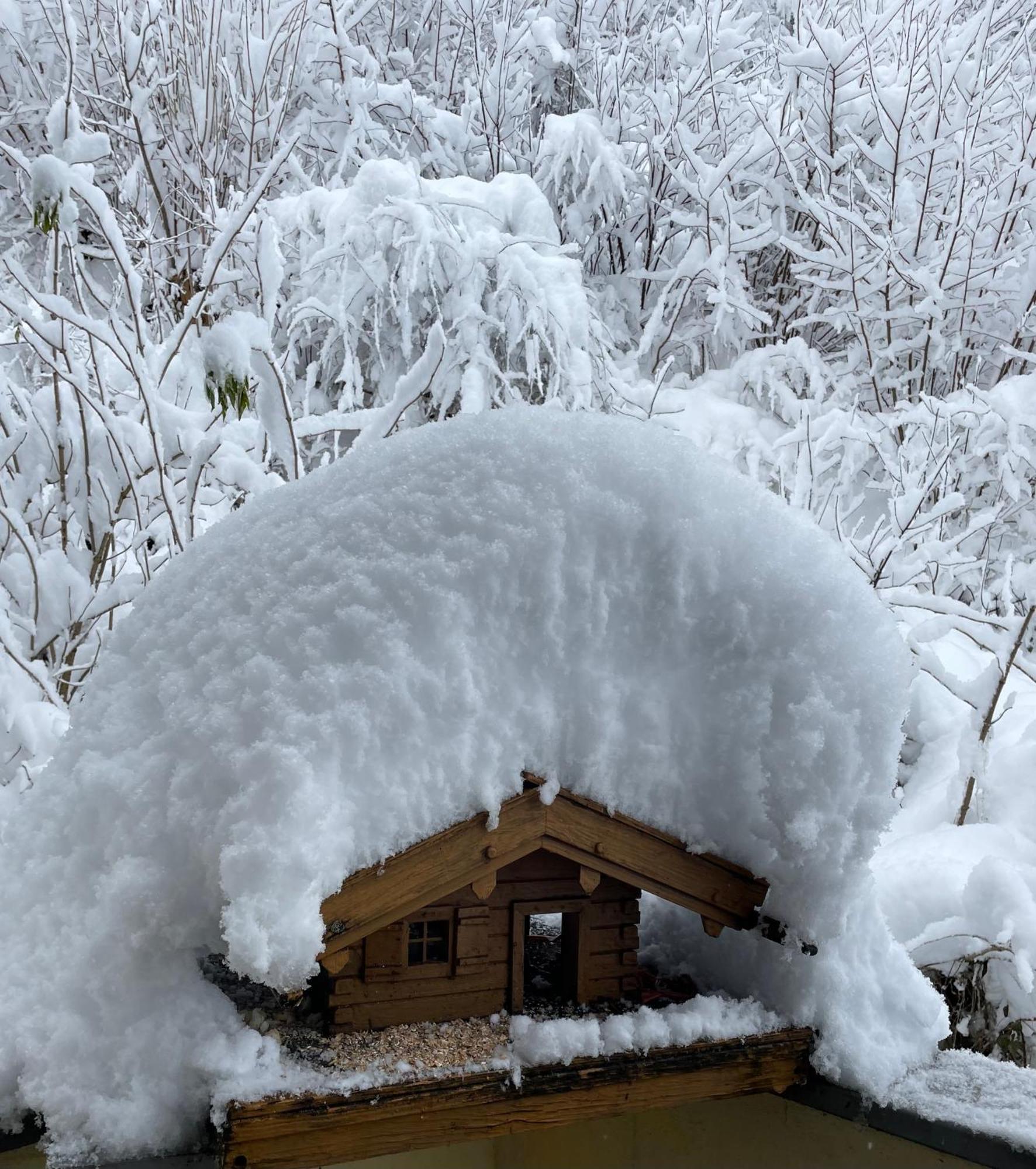 Ferienwohnung Mondial Neustift im Stubaital Εξωτερικό φωτογραφία