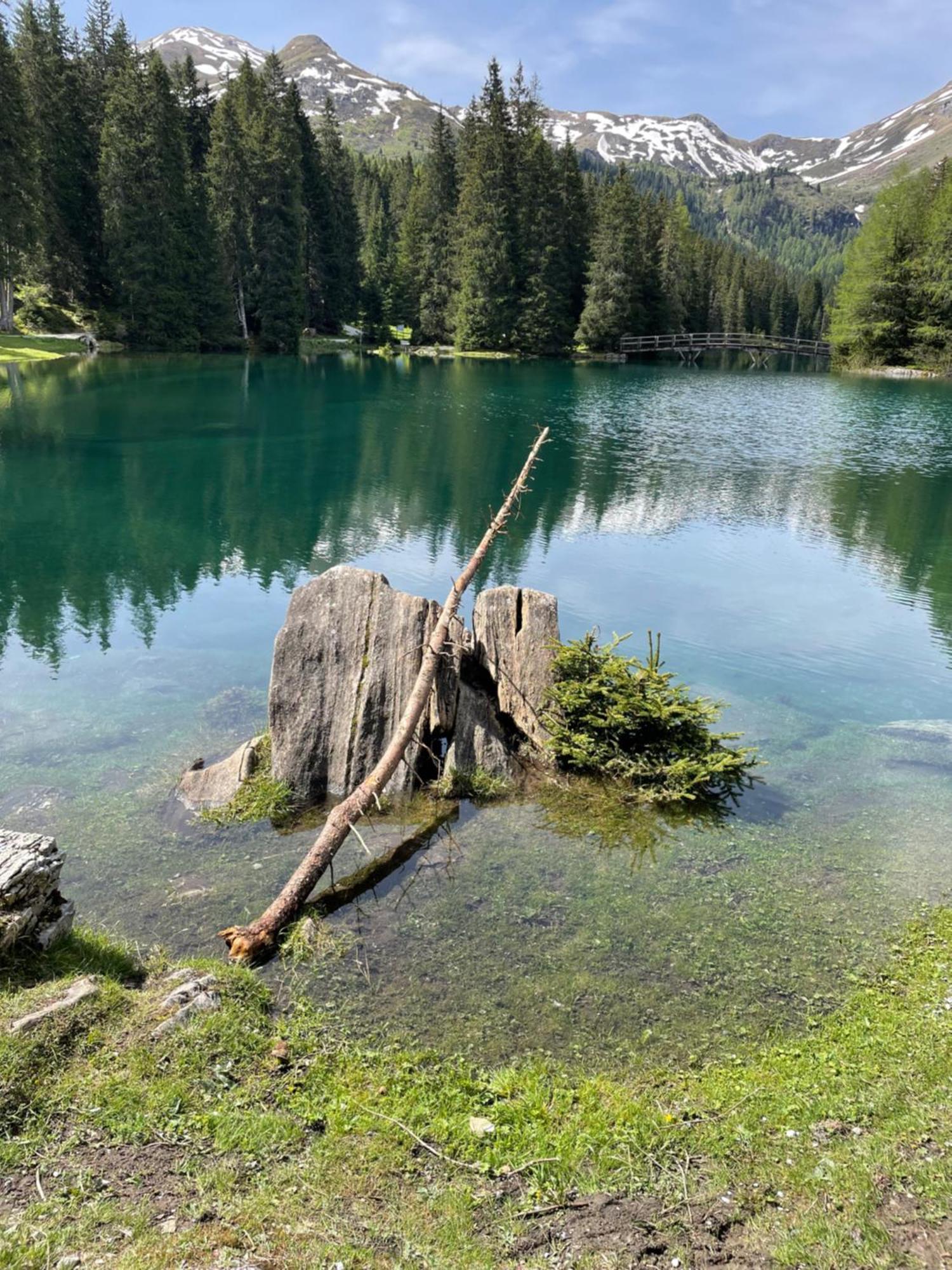 Ferienwohnung Mondial Neustift im Stubaital Εξωτερικό φωτογραφία