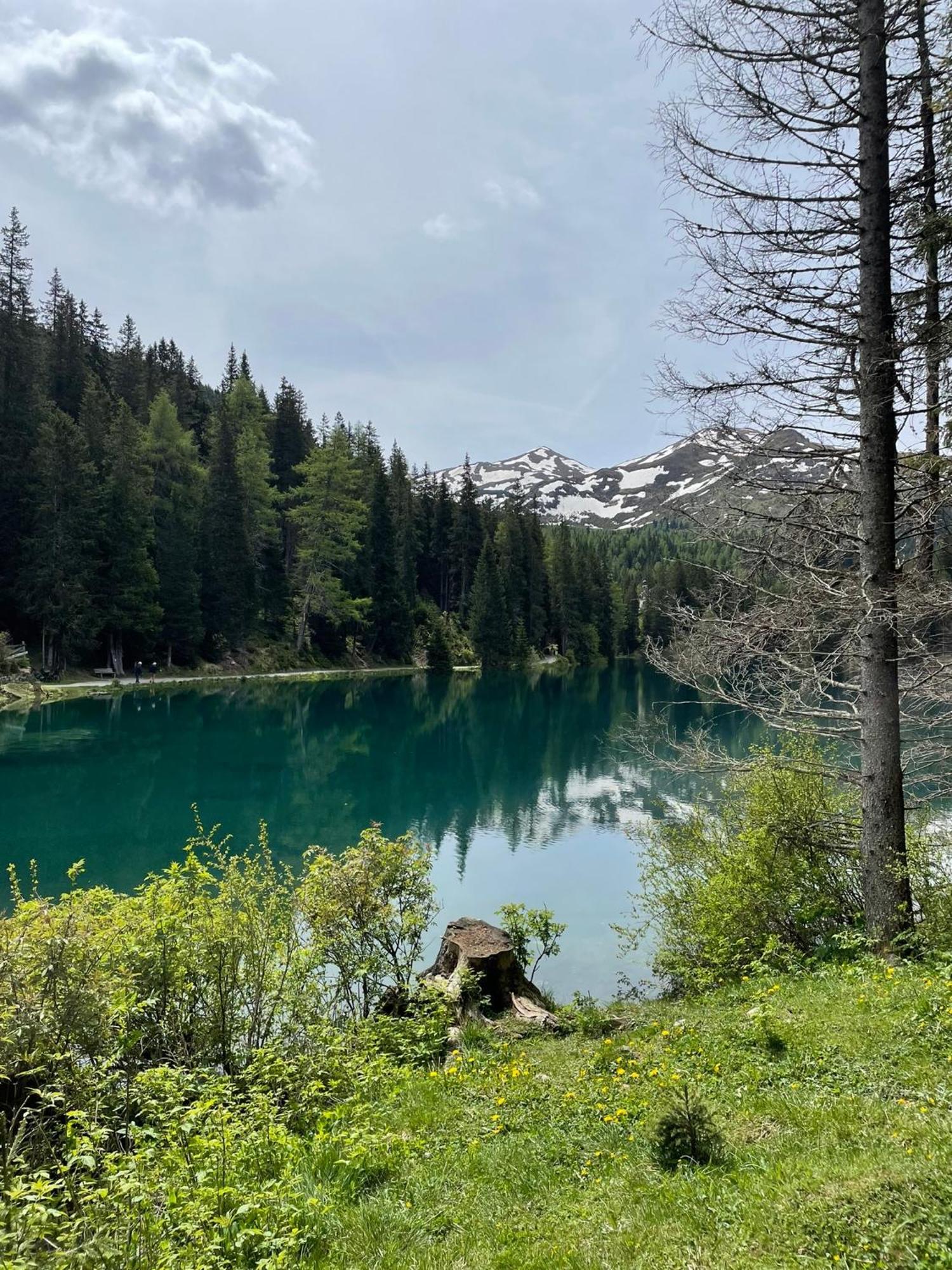 Ferienwohnung Mondial Neustift im Stubaital Εξωτερικό φωτογραφία