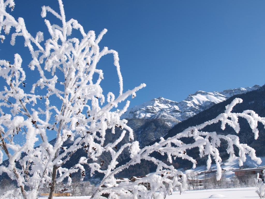 Ferienwohnung Mondial Neustift im Stubaital Εξωτερικό φωτογραφία